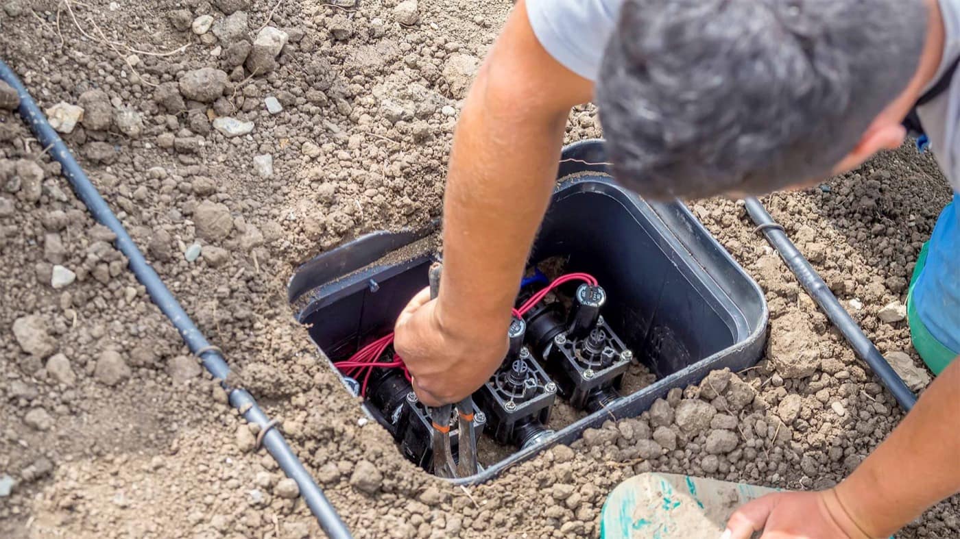 Drip vs. Sprinkler Irrigation: What’s Best for Your Denver Xeriscape?