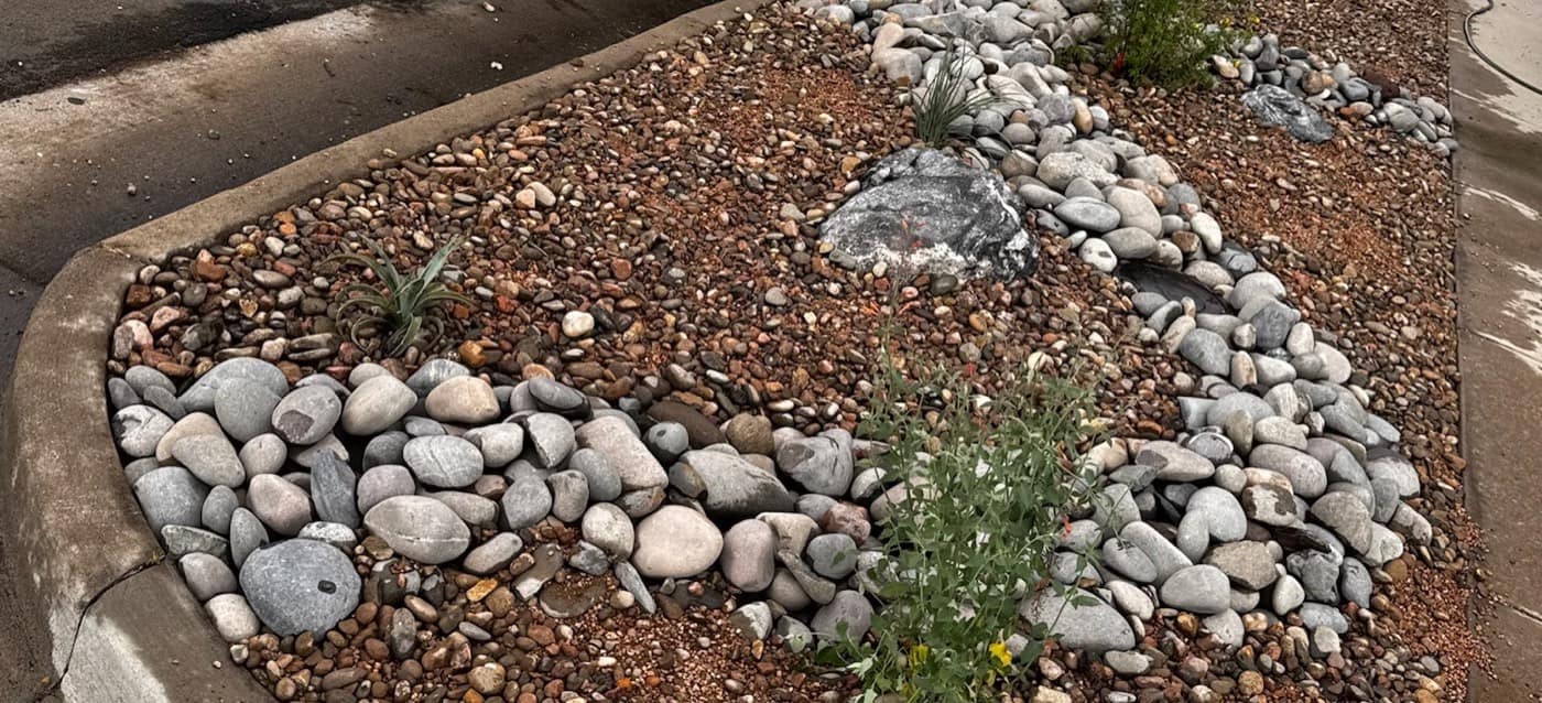 Denver Hellstrip Landscaping: Designing the Strip That Kills Everything