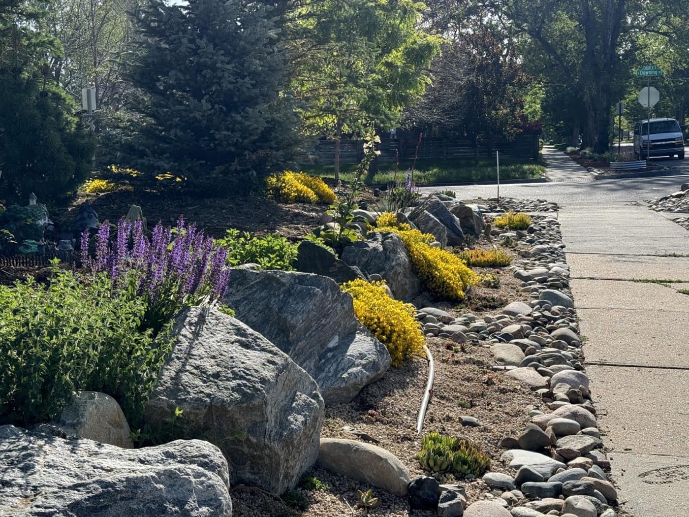 Xeriscape Doesn't Have to Be Boring: Native Plants for Color and Year-Round Interest
