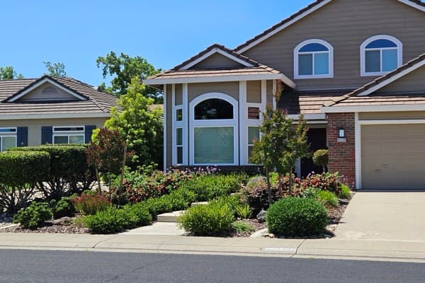 Denver Just Banned All Lawn Watering Starting October 1 β And It Runs Into Spring 2027