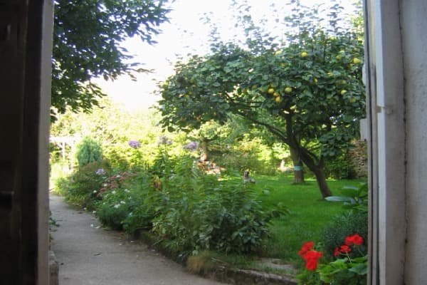 Xeriscaping for Dogs in Denver: Design, Plants, and Ground Cover That Works