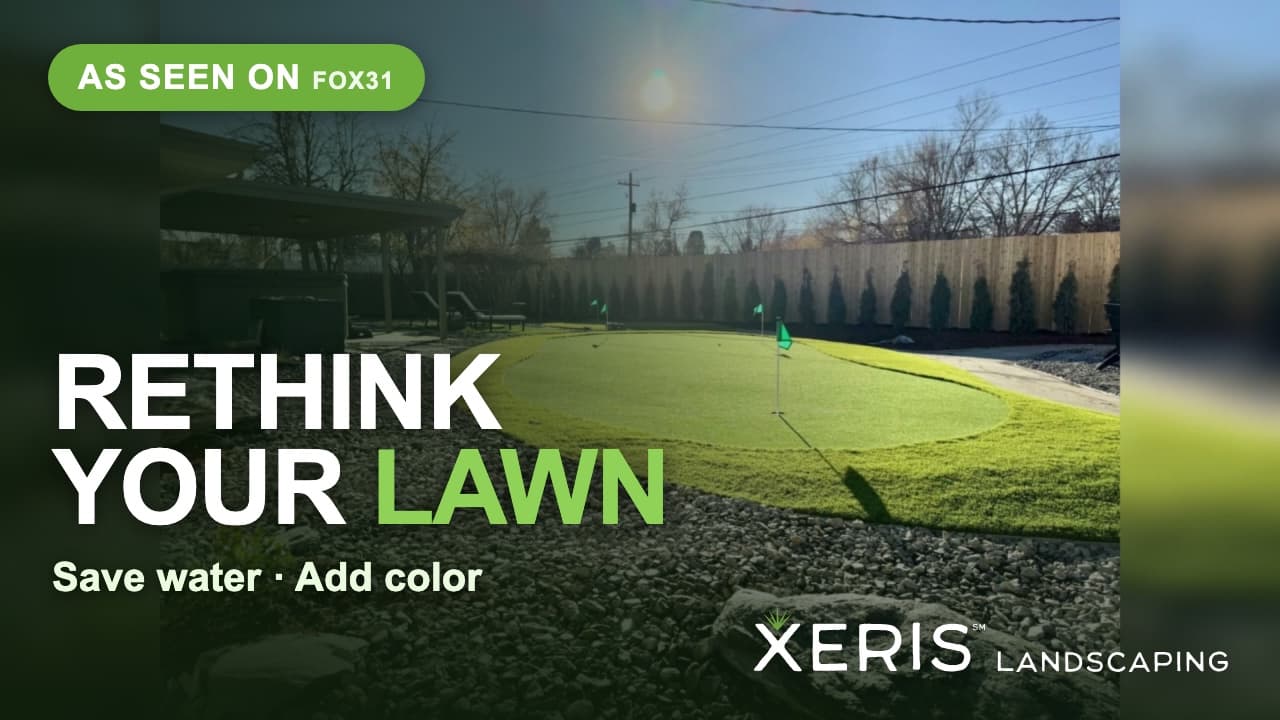 Xeris Landscaping Featured on FOX31: Save Water & Rethink Your Lawn