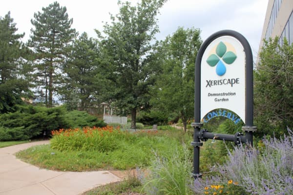 Commercial Landscaping in Denver: Low-Water Solutions for Properties and HOAs