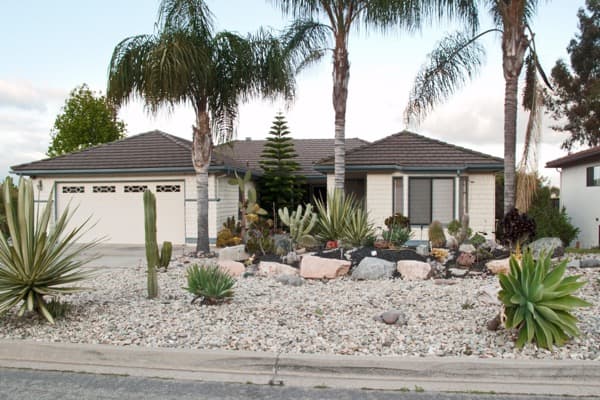 How to Maintain a Xeriscape in Denver: A Complete Seasonal Care Guide