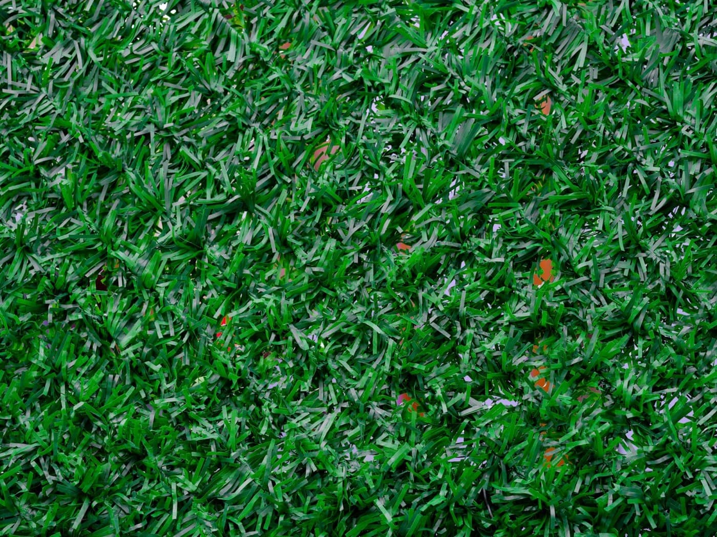Artificial turf installation cost guide for Denver CO
