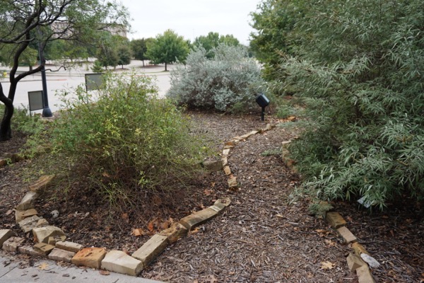 Rock garden with native xeriscape plants in a Denver yard โ boulders, gravel mulch, and drought-tolerant perennials