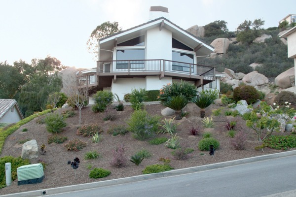 Finished xeriscape yard โ the kind of conversion Denver Water pays you to make