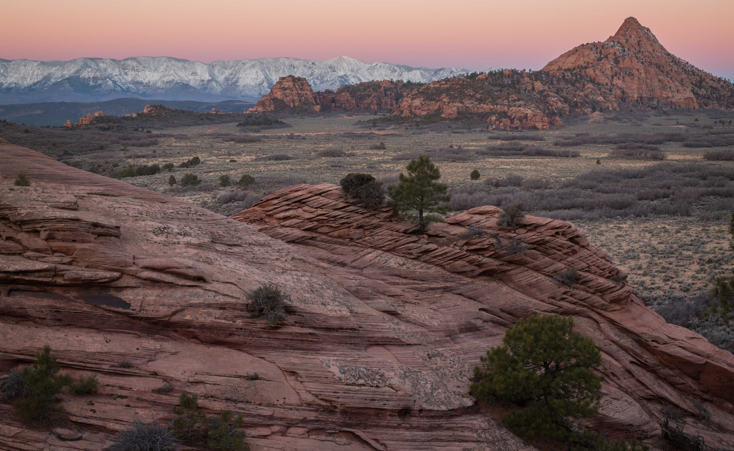 Xeriscaping in Denver, Colorado: How To Create a Water-Efficient Landscape