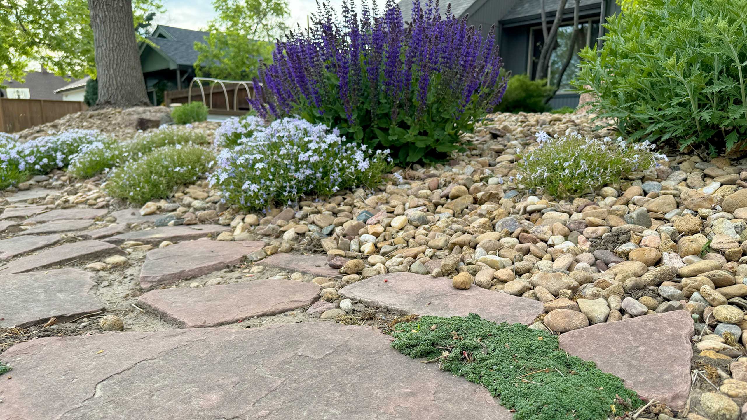 Top 7 Mistakes to Avoid When Xeriscaping in Denver